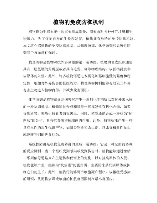 植物的免疫防御机制