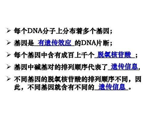人教版高中生物必修二《基因的表达》课件(共78张PPT)