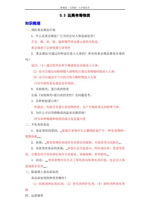 【同步专题】鲁教版(五四制)化学九年级全册 5-3 远离有毒物质(原卷版)