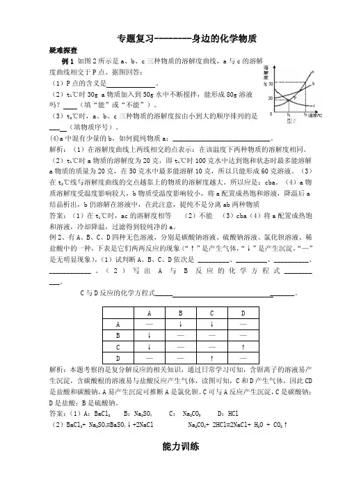 人教版中考化学二轮专题复习：身边的化学物质(pdf版)