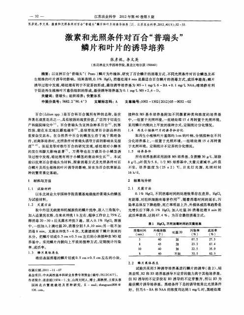 激素和光照条件对百合“普瑞头”鳞片和叶片的诱导培养
