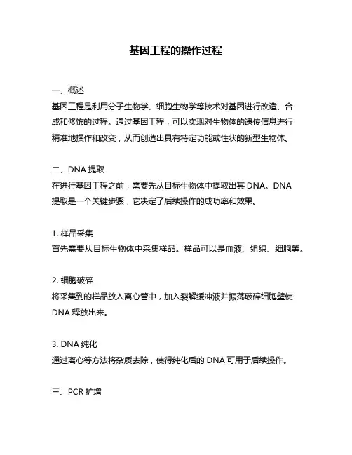 基因工程的操作过程