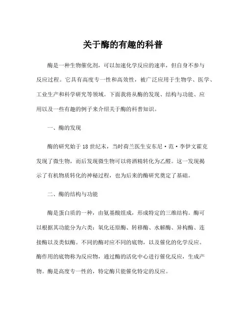 关于酶的有趣的科普
