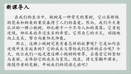 《一棵小桃树》ppt课件