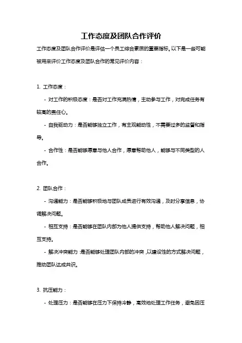 工作态度及团队合作评价