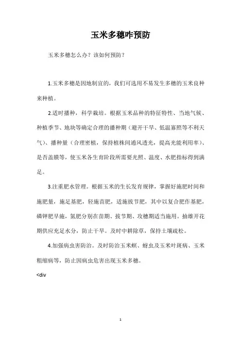玉米多穗咋预防