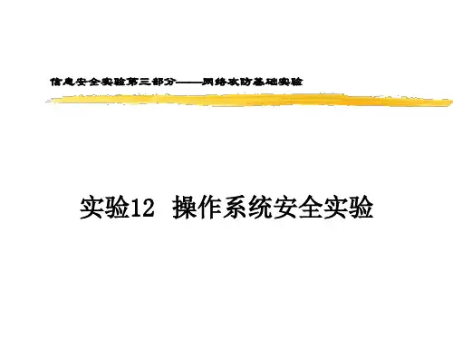 操作系统安全实验