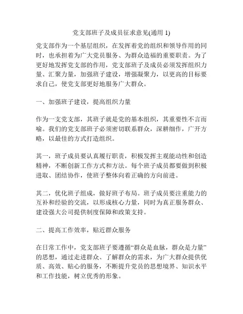 党支部班子及成员征求意见(通用1)