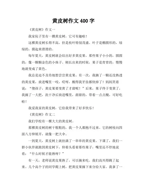 黄皮树作文400字
