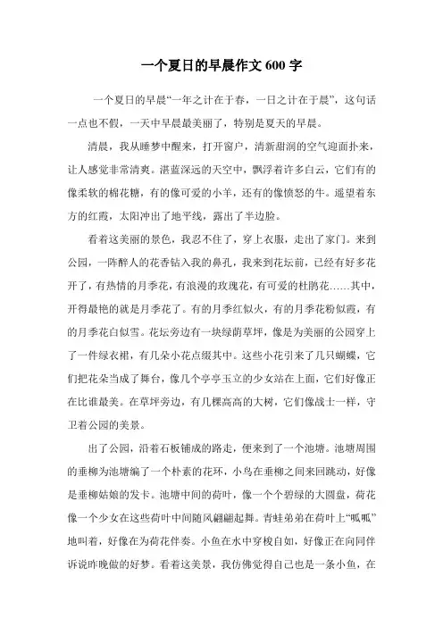 一个夏日的早晨作文600字_2