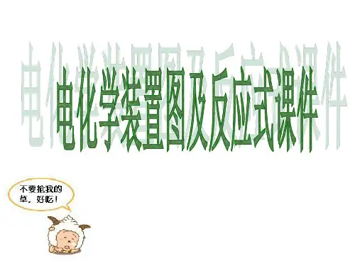 电化学装置图及反应式课件