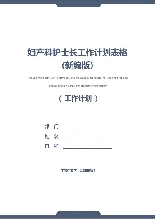 妇产科护士长工作计划表格(新编版)