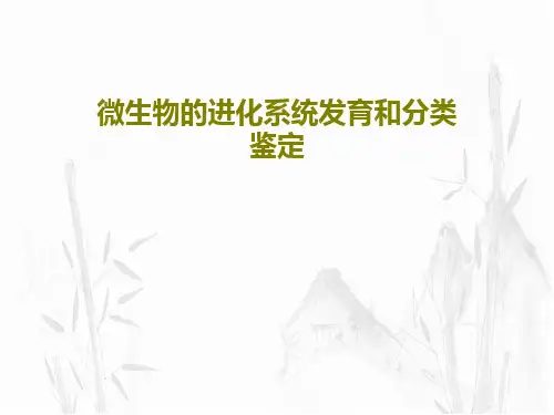 微生物的进化系统发育和分类鉴定55页PPT