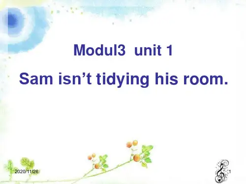 外研版二年级下册英语《Sam isn't tidying his room》PPT优质教学课件