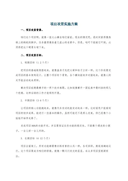 项目攻坚实施方案