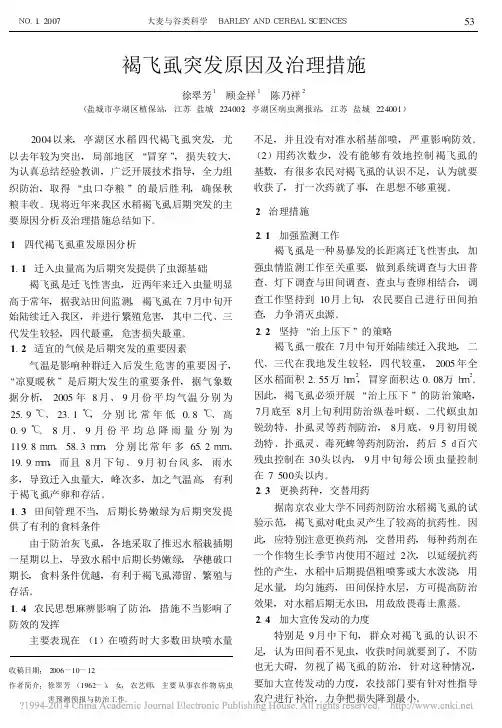 褐飞虱突发原因及治理措施