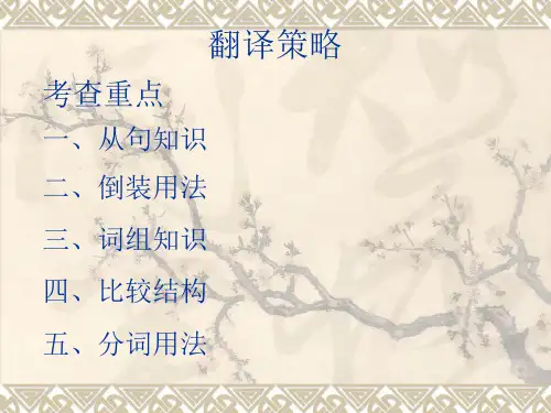 翻译策略ppt课件