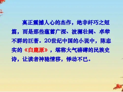 中国小说欣赏课件汇总ppt(35份打包) 人教课标版21
