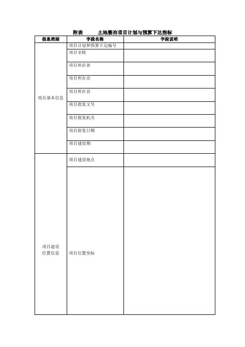 最新项目报备信息(试行)表