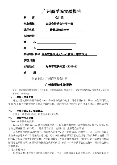 计算机辅助审计论文