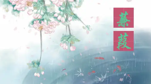 《蒹葭》ppt课件
