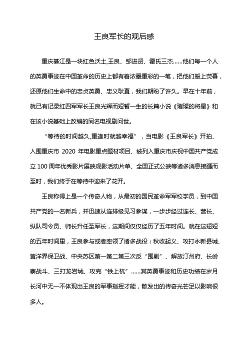 王良军长的观后感