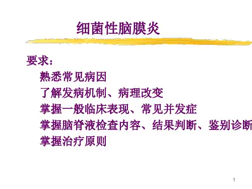 细菌性脑膜炎ppt课件