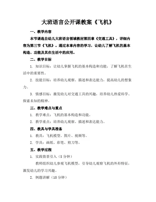 大班语言公开课教案《飞机》