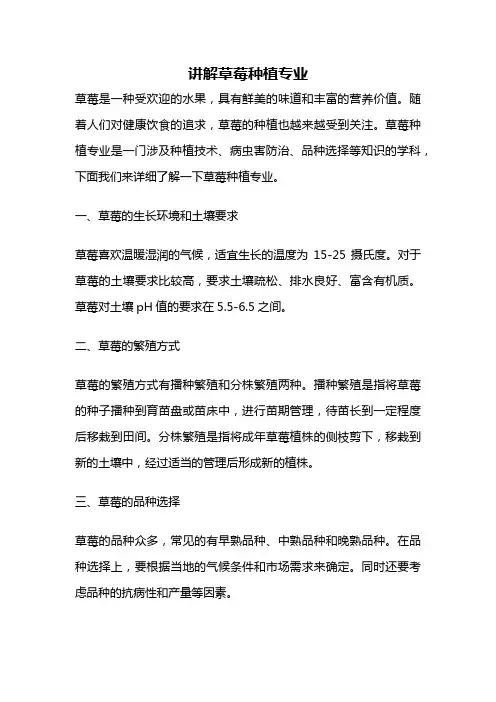 讲解草莓种植专业