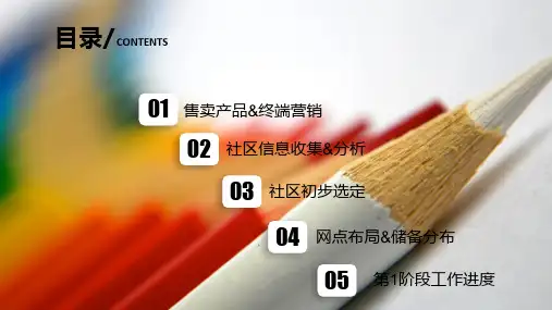 大米营销方案ppt课件