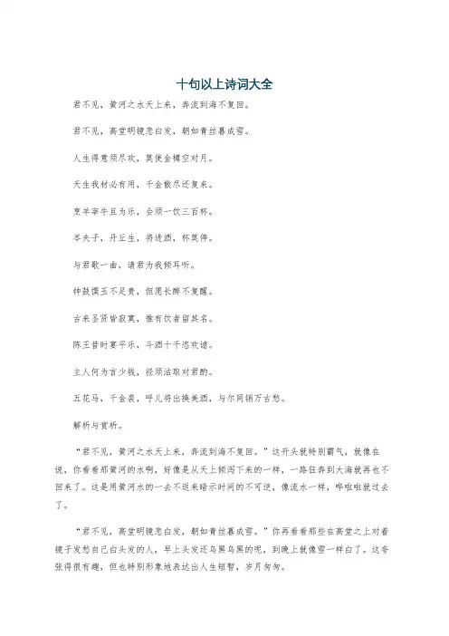 十句以上诗词大全