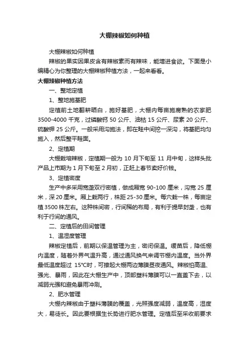 大棚辣椒如何种植
