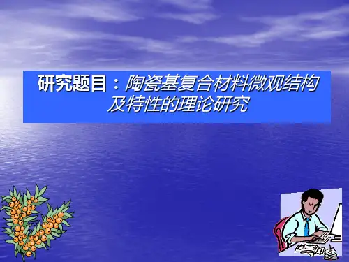 博士研究生开题报告