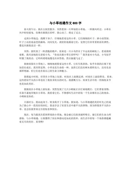 与小草相遇作文600字