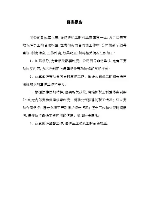劳动年审自查报告