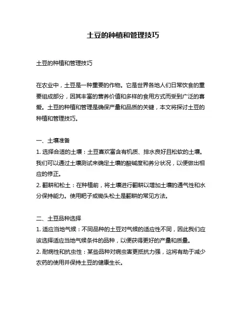 土豆的种植和管理技巧