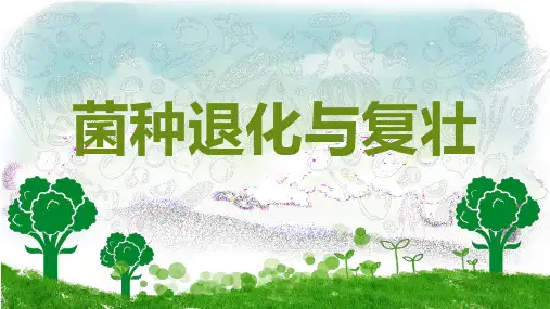 菌种繁育—菌种退化与复壮(食用菌生产技术课件)