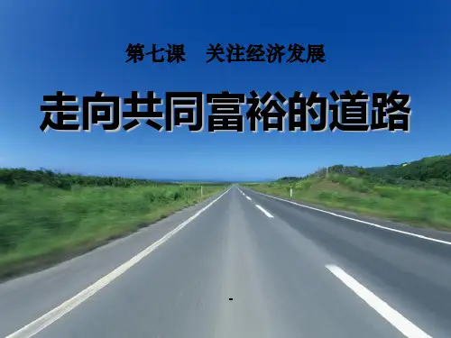 九年级品德_走向共同富裕的道路-PPT课件 