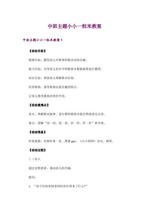 中班主题小小一粒米教案