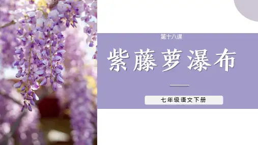 第18课《紫藤萝瀑布》课件(共28张PPT) 统编版语文七年级下册