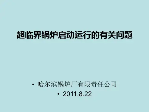 超、超超临界锅炉启动运行有关问题.