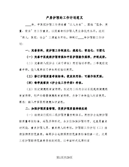 产房护理的工作计划范文(6篇)