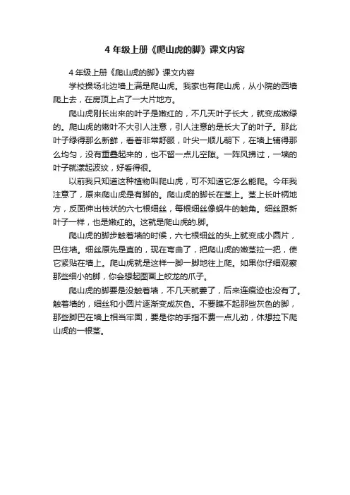 4年级上册《爬山虎的脚》课文内容
