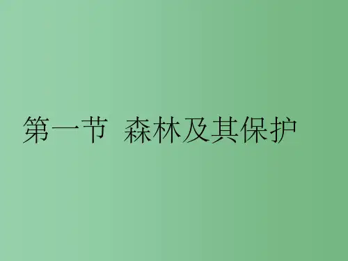 高中地理 4.1《森林及其保护》 新人教版选修6