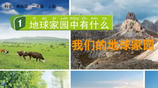 最新教科版二年级科学上册《地球家园中有什么》优质教学课件