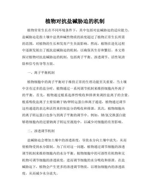 植物对抗盐碱胁迫的机制