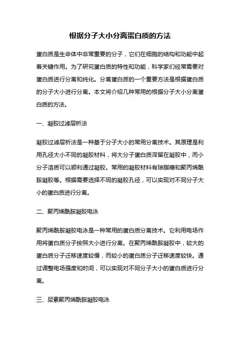 根据分子大小分离蛋白质的方法