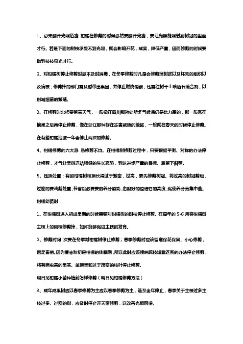 明日见柑橘修剪方法