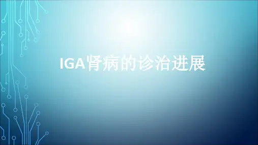 IgA肾病诊治进展ppt演示课件