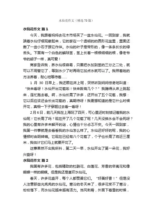 水仙花作文（精选70篇）